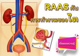 วีดิทัศน์ : RAAS กับการทำงานของไต รูปภาพ 1